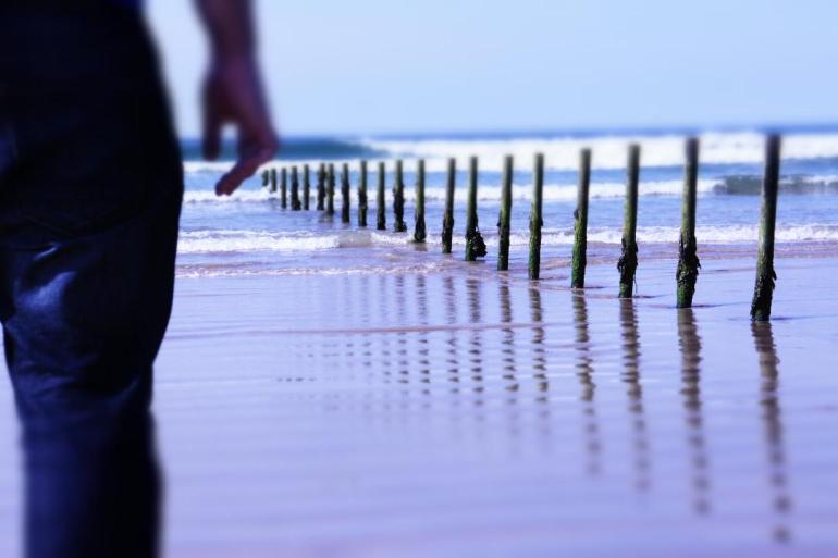 Michael Wilson book cover