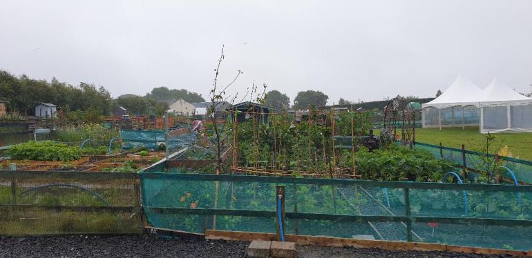 Little Green Gardens 1